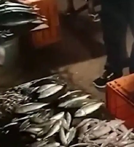 മീനിലും മായം, നാല് പേർക്ക് ഭക്ഷ്യവിഷ ബാധയേറ്റു