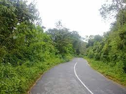 സുഹൃത്തിനൊപ്പം തേയില തോട്ടം കാണാനെത്തിയ ഇതര സംസ്ഥാനക്കാരി ബാലികയെ പീഡിപ്പിച്ചു