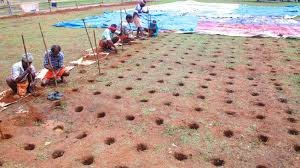 മഴ തുടുരുന്നു,  തൃശ്ശൂർ പൂരം വെടിക്കെട്ട് മാറ്റി