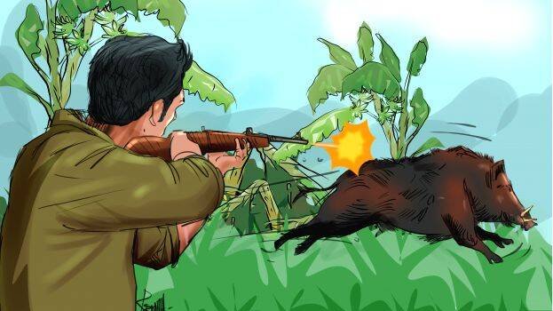 പന്നിവേട്ട, യുവാവ് വെടിയേറ്റ് മരിച്ചു