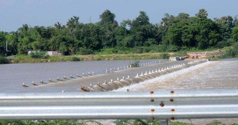 ചെക് ഡാമിൽ കുളിക്കാനിറങ്ങിയ ഏഴ് കുട്ടികൾ മുങ്ങി മരിച്ചു