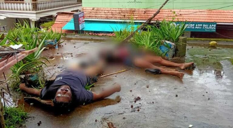 ഇരുമ്പ് തോട്ടി 11 കെവി ലൈനിൽ കുരുങ്ങി, തേങ്ങയിടാൻ ശ്രമിക്കുന്നതിനിടെ അച്ചനും മകനും തൽക്ഷണം മരിച്ചു