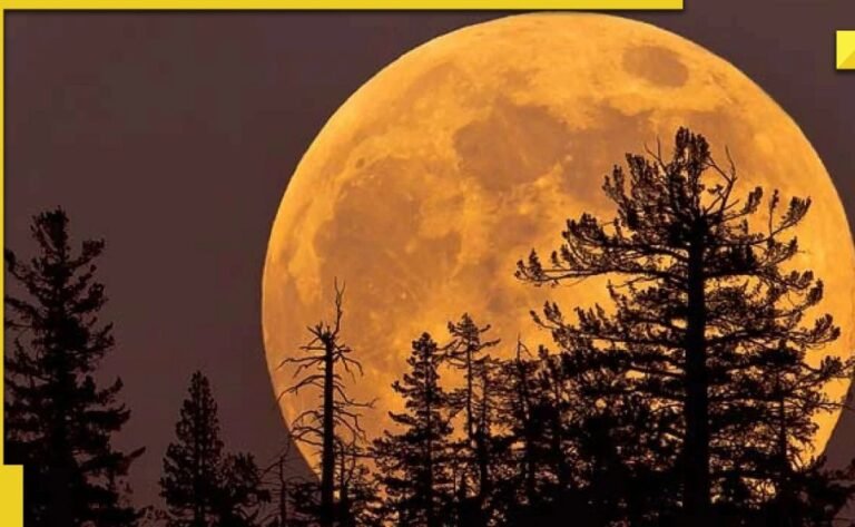 ആകാശ വിസ്മയമായി ബക്ക് മൂൺ, കാണാൻ മൂന്നു ദിവസം