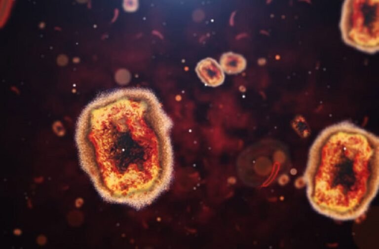 മങ്കി പോക്സ് ഒരാൾക്ക് കൂടി, ഗൾഫിൽ നിന്നെത്തിയ മലപ്പുറം സ്വദേശി ചികിത്സയിൽ