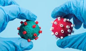 ഒമിക്രോണിന് രാജ്യത്ത് പുതിയ വക ഭേദം