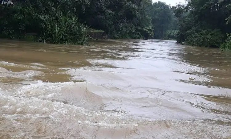 കണ്ണൂരും കാസറഗോഡും വെള്ളിയാഴ്ചയും വിദ്യാലയങ്ങൾക്ക് അവധി, മഴ മുന്നറിയിപ്പ് തുടരുന്നു