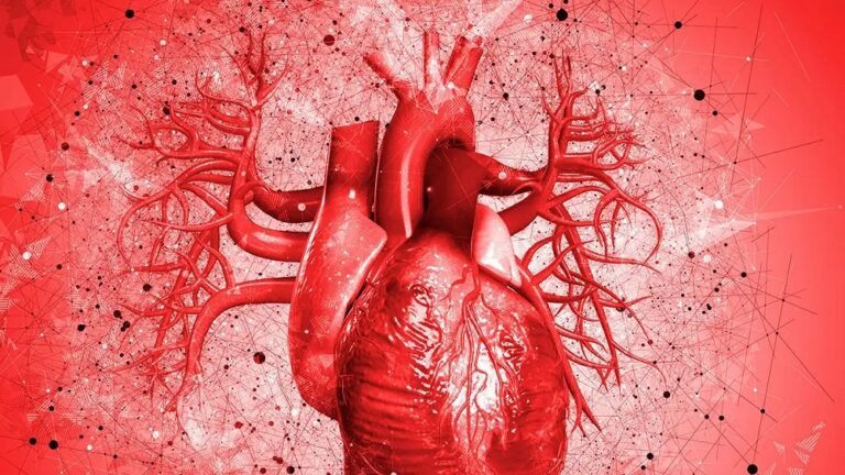 കേരളം ഹൃദ്രോഗികളുടെ  തലസ്ഥാനമാവുന്നു; കരുതൽ ശീലങ്ങൾ വളർത്താം