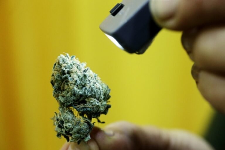 പത്താം ക്ലാസുകാരനെ മറയാക്കി ലഹരി മാഫിയ, മയക്കുമരുന്നിനും പീഡനത്തിനും ഇരയായത് 11 സ്കൂൾ വിദ്യാർഥിനികൾ