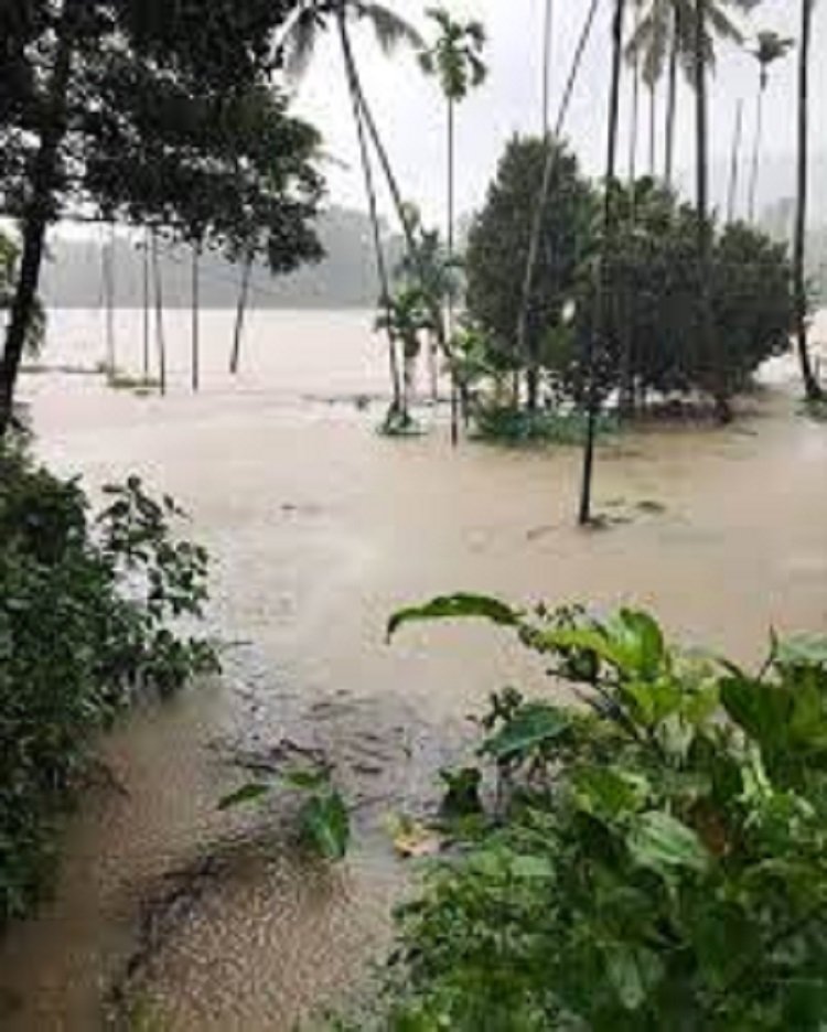 സംസ്ഥാനത്ത് ഇതുവരെ 21 മരണം, ചാലക്കുടി പുഴയിൽ ജലനിരപ്പ് ഉയരുന്നു