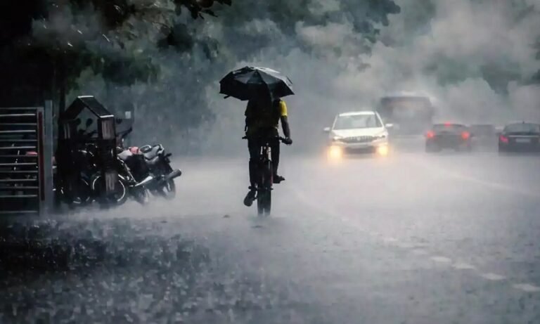 മഴ ജാഗ്രത: 12 ജില്ലകളിൽ വിദ്യാലയങ്ങൾക്ക് ബുധനാഴ്ച അവധി