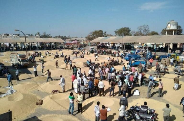 ഉള്ളി കിലോയ്ക്ക് ഒരു രൂപ, വഴിയിലും പുഴയിലും ഉപേക്ഷിച്ച് കർഷകർ