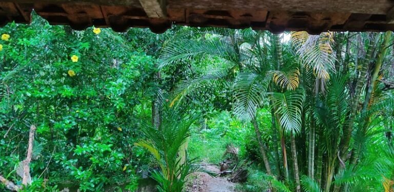 നാലു ദിവസം കനത്ത മഴ, ജാഗ്രതാ മുന്നറിപ്പ്