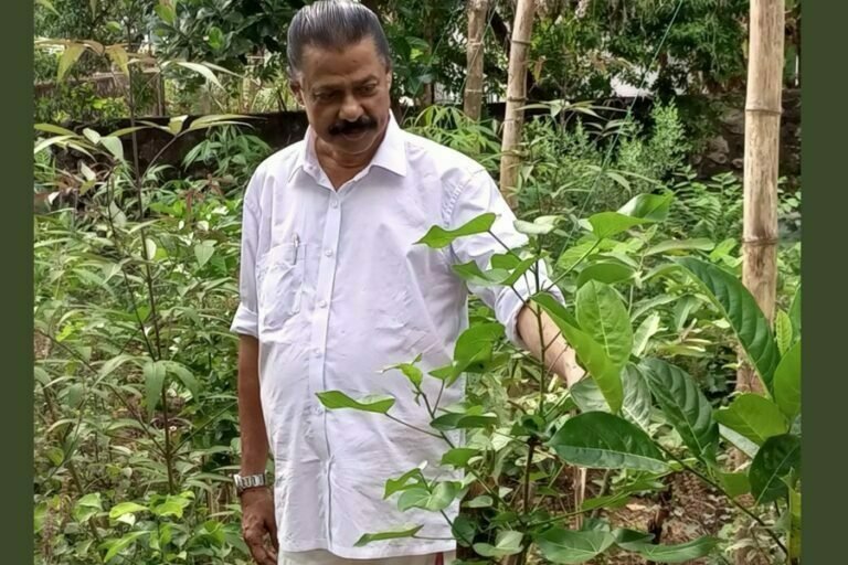 കറി പൗഡറുകളില്‍ എല്ലാം വ്യാജം – മന്ത്രി