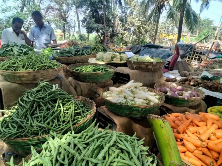 പച്ചക്കറികൾ സുലഭം, ഓണ വിപണി കൈ പൊള്ളിക്കില്ല