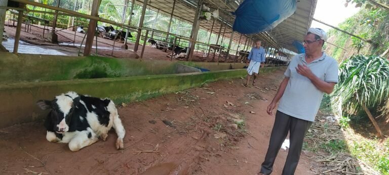 പാൽ വില കൂടും, ജി എസ് ടി കർഷകരുടെ വിഹിതം ചോർത്തി