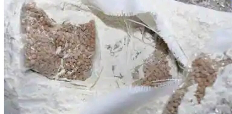 പഴക്കച്ചവടത്തിന് മറവിൽ നർക്കോട്ടിക്സ്; 1476 കോടിയുടെ ലഹരി വസ്തുക്കൾ കണ്ടെത്തി ; മലയാളി അറസ്റ്റിൽ