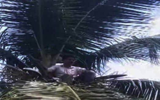 കരാറുകാരൻ തെങ്ങിൽ കയറി ആത്മഹത്യാ ഭീഷണി മുഴക്കി, വീടുപണി തീർന്നിട്ടും കരാർ  തുക നൽകിയില്ലെന്ന് പരാതി