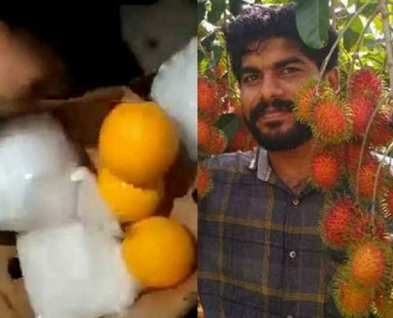 1976 കോടിയുടെ ലഹരിക്കടത്ത്;  വിജിൻ വർഗീസ് കേരളത്തിലും കണ്ടയിനറുകൾ ഇറക്കി