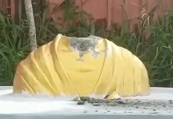 ഗാന്ധി പ്രതിമയ്ക്ക് നേരെ വീണ്ടും ആക്രമണം; തലയറുത്തു