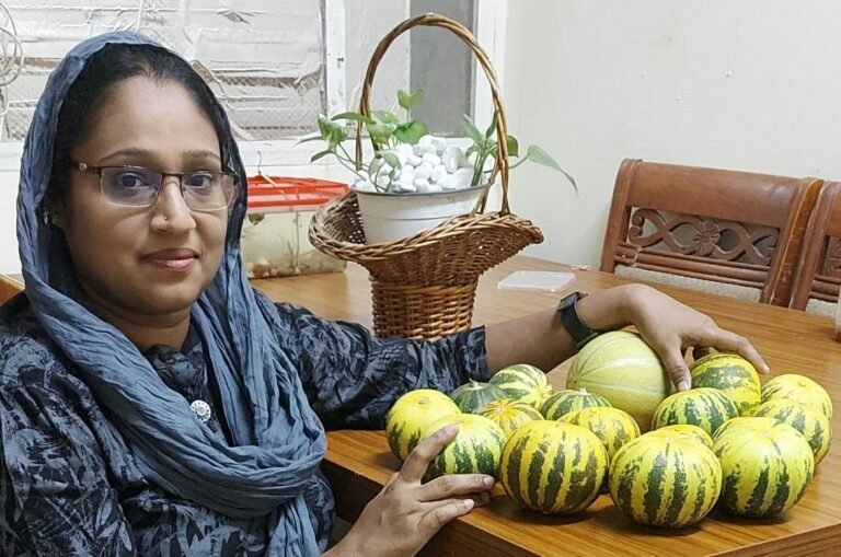 ഇങ്ങനെയായാൽ വെള്ളരിയും കുമ്പളവും ചീരയും ഇനി ഗൾഫുകാരാവും; മലയാളി ടച്ചിൽ ഹരിത വിപ്ലവം