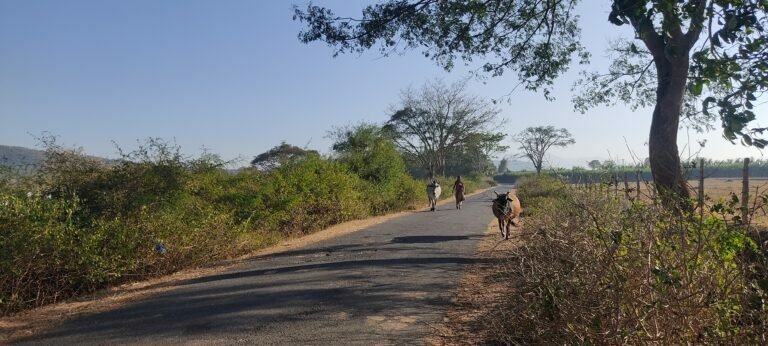 ട്രാഫിക് നിയമ ലംഘനം ഇനി എവിടെ കണ്ടാലും കേസ്