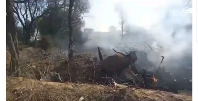 ഇന്ത്യയുടെ മൂന്നു യുദ്ധ വിമാനങ്ങൾ മിനിറ്റുകളുടെ വ്യത്യാസത്തിൽ തകർന്നു വീണു