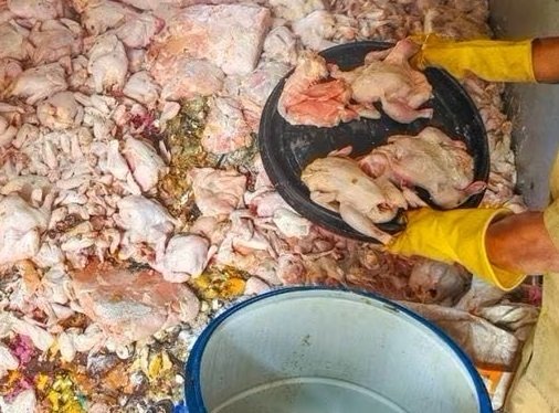 പഴകിയ ഇറച്ചി കണ്ടെത്തിയ വില്പനശാലയുമായി 49 ഹോട്ടലുകൾക്ക് ഇടപാട്