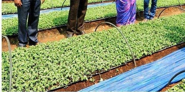 ഇസ്രയേലിലേക്ക് ആധുനിക കൃഷി പഠിക്കാൻ പോയ സംഘത്തിലെ ഇരിട്ടി സ്വദേശിയെ കാണാനില്ല