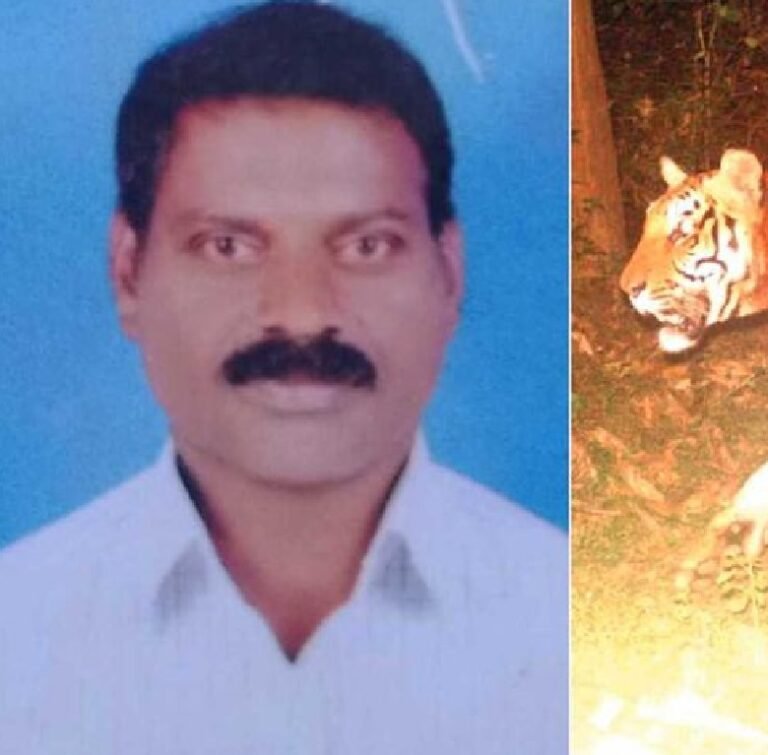 കടുവ ചത്തതിന് വനം വകുപ്പ് ചോദ്യം ചെയ്തു, ഗൃഹനാഥൻ ജീവനൊടുക്കി