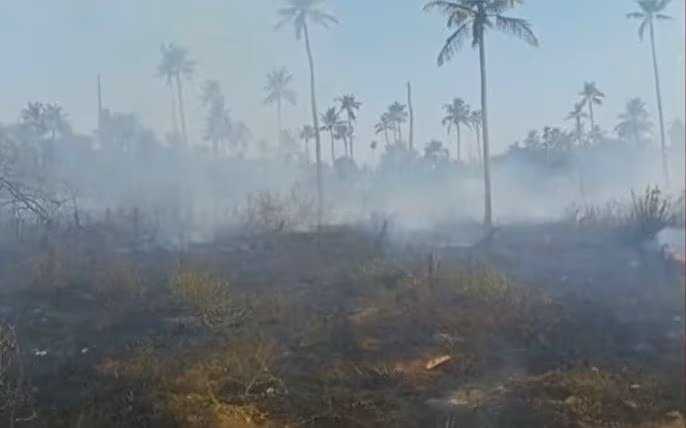തെങ്ങിൻ തോപ്പിൽ തീ പടർന്നു പിടിച്ച് വയോധികൻ മരിച്ചു