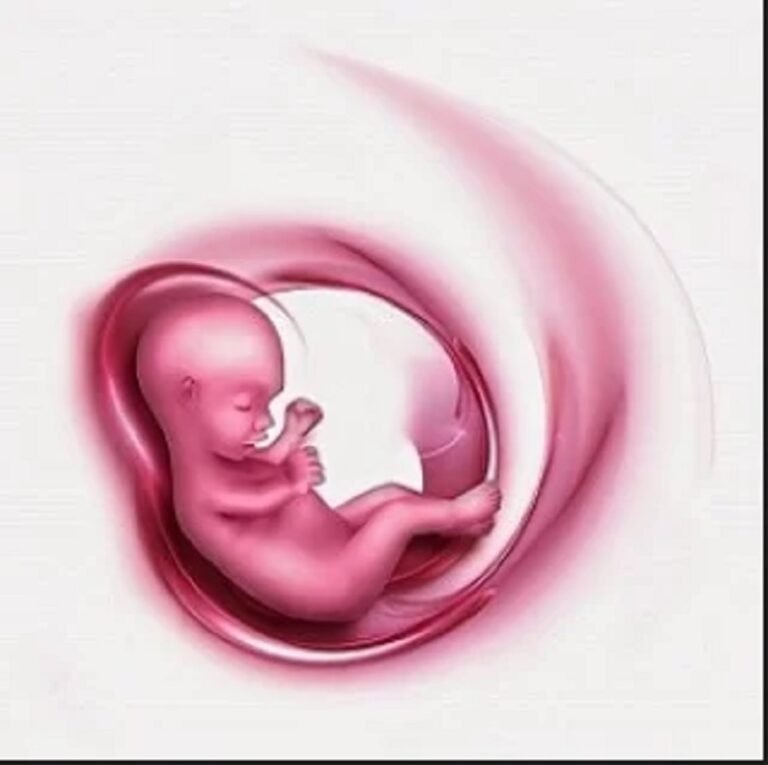 ഗർഭാവസ്ഥയിലേ കുഞ്ഞിനെ രാമായണവും ഗീതയും പഠിപ്പിക്കാൻ ആർ എസ് എസ് നേതൃത്വത്തിൽ ഗർഭ സംസ്കാർ പദ്ധതി