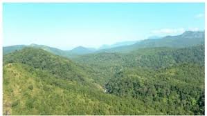 വനഭൂമി നിക്ഷിപ്തമാക്കൽ; 50 സെൻറ് വരെ കൈവശമുള്ളവർക്ക് ഇളവ്