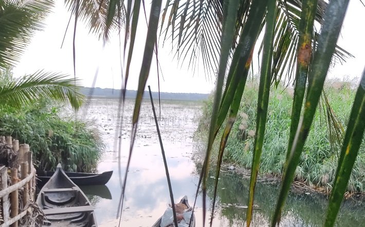 കൃഷി ഭൂമിയല്ലെന്ന് വനം വകുപ്പ് തീരുമാനിച്ചാൽ വെറും കയ്യോടെ പുറത്താക്കാം, സംസ്ഥാന സർക്കാരിൻ്റെ നിയമ ഭേദഗതിയിൽ നിസ്സഹായരായി കർഷകർ