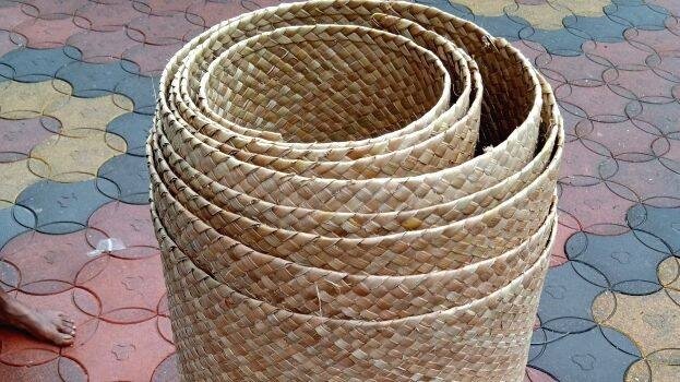 “കൈതോലപ്പായയിൽ പൊതിഞ്ഞ് രണ്ട് കോടി മുപ്പത്തിഅയ്യായിരം രൂപ” സിപിഎമ്മിനെതിരെ മുൻ ദേശാഭിമാനി പത്രാധിപ സമിതി അംഗം