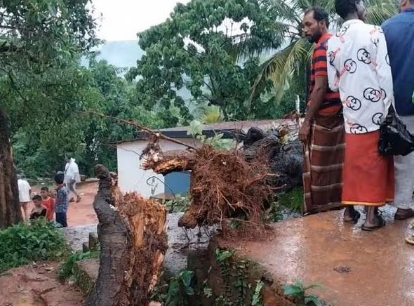 മരം കട പൊട്ടി ദേഹത്ത് വീണു, സ്കൂൾ വിട്ട് പുറത്തിറങ്ങിയ ആറാം ക്ലാസുകാരിക്ക് ദാരുണാന്ത്യം
