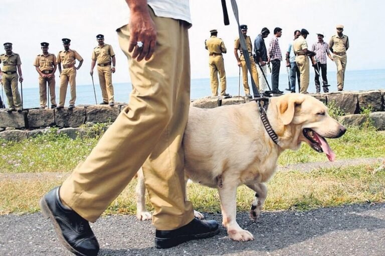 പൊലീസ് നായയെ വാങ്ങിയതിൽ വെട്ടിപ്പ്; നോഡൽ ഓഫീസറെ സസ്പെൻഡ് ചെയ്തു