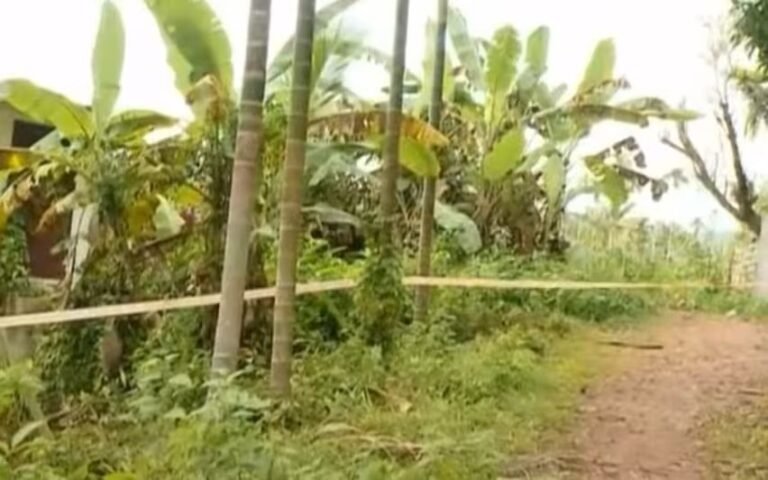 കൊയിലാണ്ടിയിൽ മനുഷ്യൻ്റെ കത്തിക്കരിഞ്ഞ ശരീരഭാഗങ്ങൾ, ഊരള്ളൂർ വയലിൽ തിരച്ചിൽ