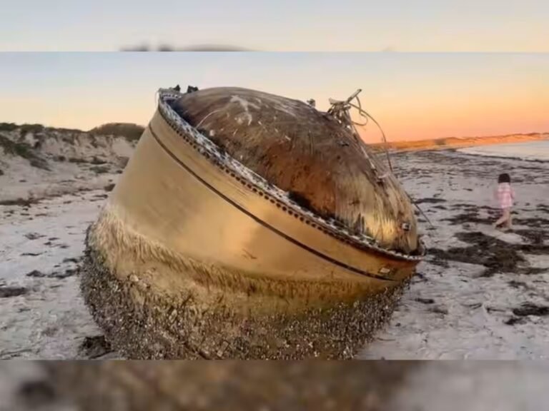 ഓസ്ട്രേലിയൻ തീരത്ത് കണ്ടെത്തിയ ‘പറക്കും തളിക’ ഇന്ത്യൻ നിർമ്മിതം തന്നെ; ഐഎസ്ആർഓയും സ്ഥിരീകരിച്ചു