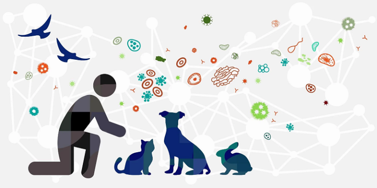 നിപ ഭീതി ഒഴിയുന്നു, വിദ്യാലയങ്ങൾ അടഞ്ഞു തന്നെ