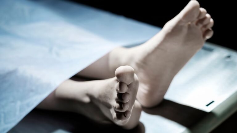 തുഷാർ വെള്ളാപ്പള്ളിയുടെ മകളുടെ വിവാഹ ചടങ്ങിൻ്റെ പന്തൽ പൊളിക്കുന്നതിനിടെ മുന്നു പേർ ഷോക്കേറ്റ് മരിച്ചു