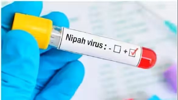 നിപ; കോഴിക്കോട് ജില്ലയിൽ പൊതു പരിപാടികൾ ഒഴിവാക്കാൻ നിർദ്ദേശം