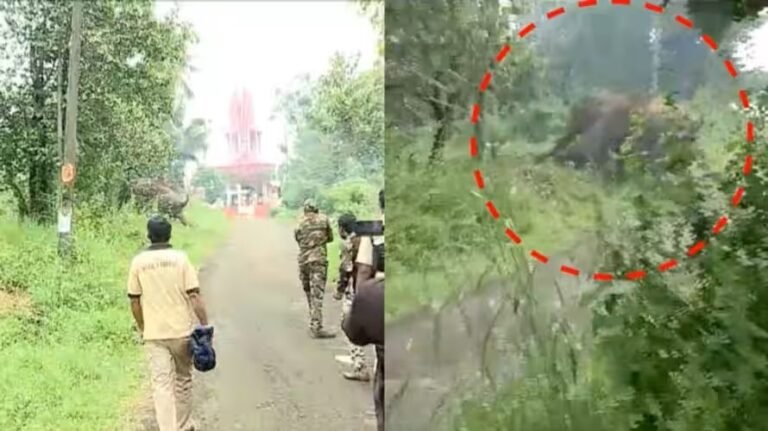 ഭീതി പരത്തി ഉളിക്കൽ ടൗണിൽ കാട്ടാന, വനാതിർത്തി വിട്ട് 10 കിലോ മീറ്ററോളം ജനവാസ മേഖലയിൽ