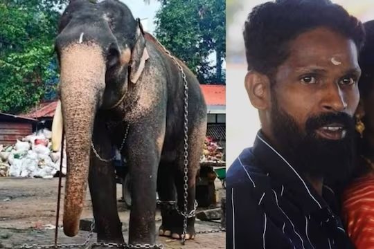 26 വർഷത്തിന് ശേഷം ചങ്ങലക്കെട്ടഴിച്ചു, ഗുരുവായൂർ ചന്ദ്രശേഖരൻ പാപ്പാനെ കൊന്നു