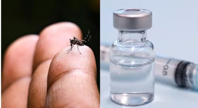 ചിക്കുൻഗുനിയ വാക്സിൻ റെഡി, ഉടൻ വിപണിയിൽ