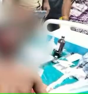 പുലി ശല്യവും രൂക്ഷം, വീട്ട് മുറ്റത്ത് ഏഴ് വയസ്സുകാരനെ ആക്രമിച്ചു