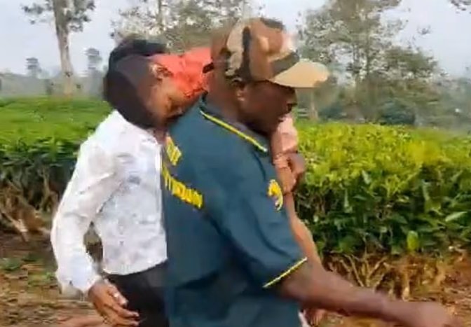 മൂന്നുവയസുകാരിയെ കടിച്ചു കൊന്ന പുലിയെ പിടികൂടി