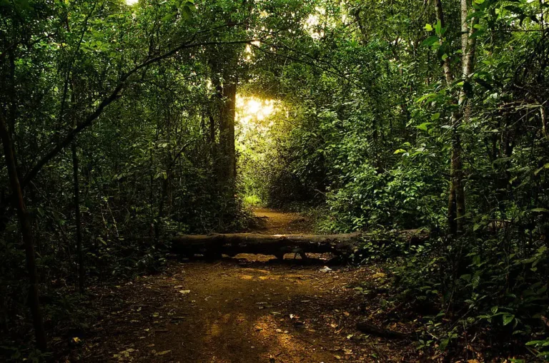 യാത്രകളുടെ പുസ്തകത്തിൽ നിന്ന് വീണ്ടും…