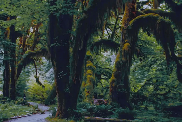 കാട് പൂക്കുന്നു