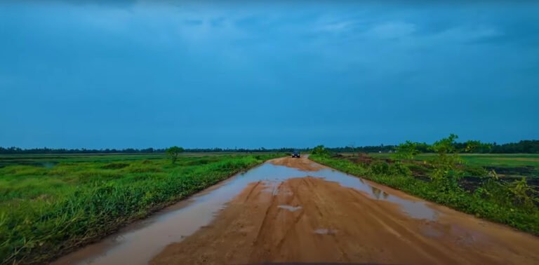 അപ്പര്‍ കുട്ടനാടിന്റെ കാര്‍ഷിക മേഖലയും ഉള്‍നാടന്‍ ടൂറിസത്തിനും ചീപ്പുങ്കല്‍-മണിയാപറമ്പ് റോഡ് യാഥാര്‍ത്ഥ്യമാക്കണം